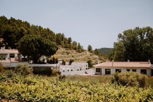 Finca Seguró 1