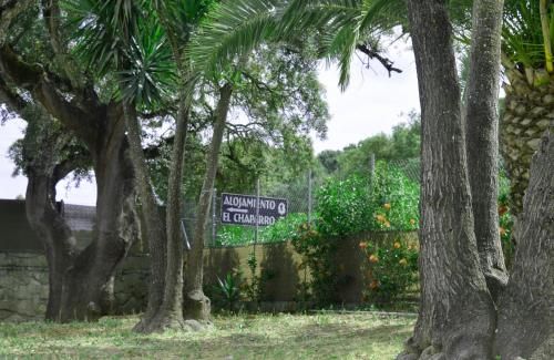 Alojamiento el Chaparro Barbate junto a la venta el loro 3