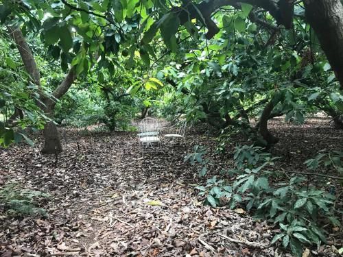 Finca El Vergel Rural 3