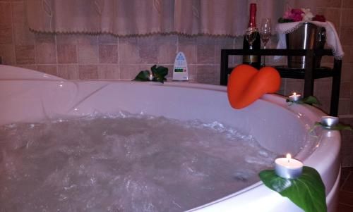 Casa Rural con jacuzzi y pista de padel - Casa de Pacas 2