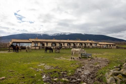 Casitas Granja El Enebral 1