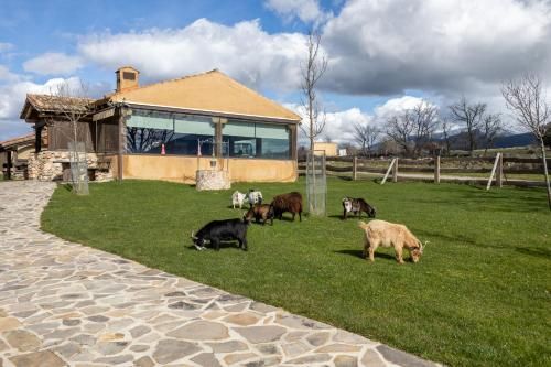 Casitas Granja El Enebral 2