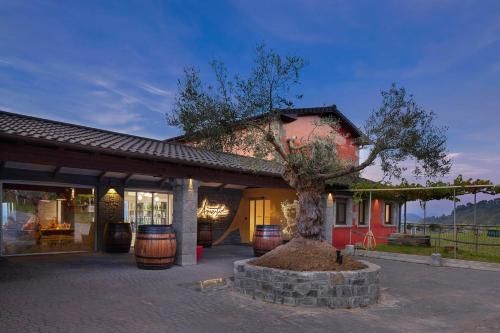 Ameztoi Experience 1