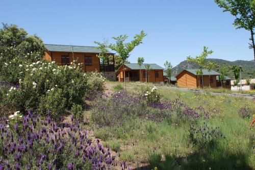 Lincetur Cabañeros - Centro de Turismo Rural 3