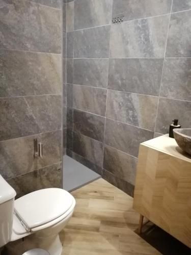 El Puente Peregrino 2