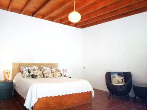 Nature Retreat: confort and peaceful in a eco-paradise 3