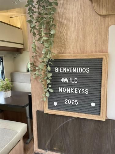 Autocaravanas Wild Monkeys 1