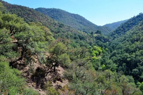 Casa rural Vista Alegre , cerca de Valencia y Castellón 2