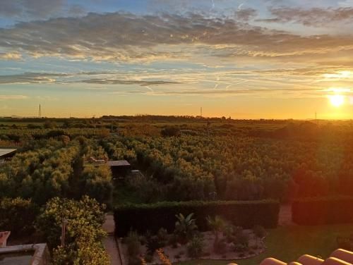 Mas Montbrio Belvedere 2