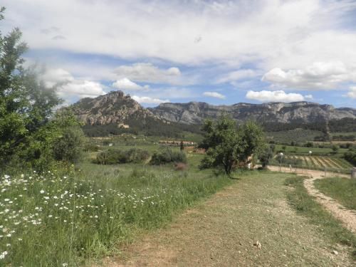 Hostal Casa Barcelo 3