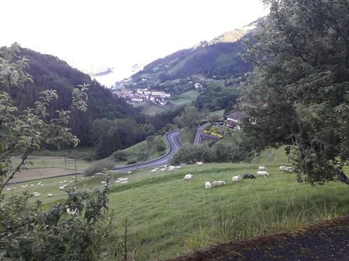 Etxeberri Landa Etxea 3