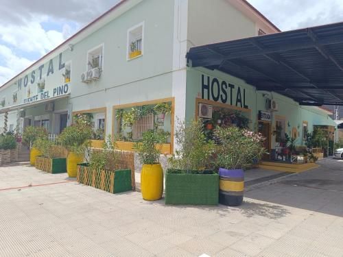 Hostal Fuente del Pino 2