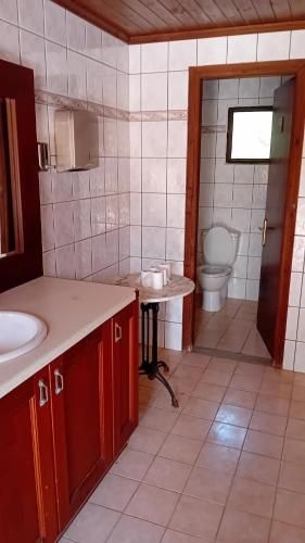 SEAHORSE healing effect 3