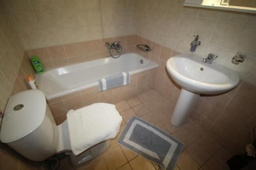 Zorbas studio deluxe 3