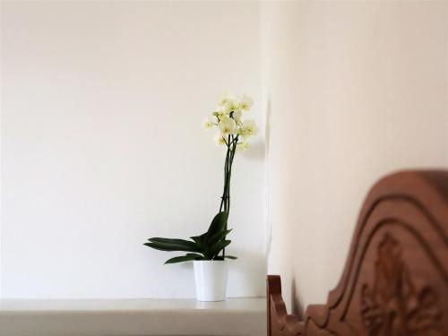 ΤΟ ΚΑΜΙΝΙ ΤΟΥ ΜΗΛΑ 3