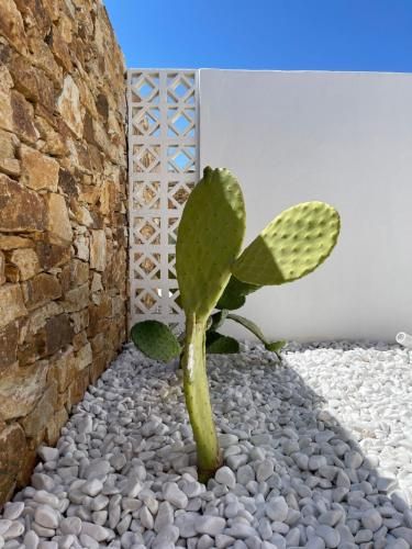 Kastro Antiparos 3