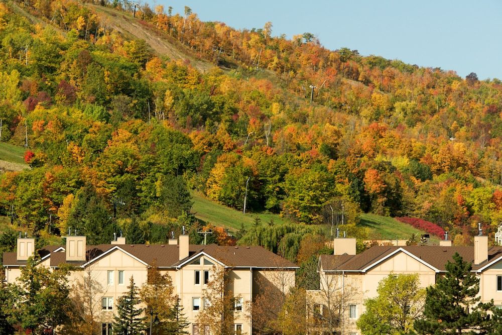 Blue Mountain Resort Home Collection 4 estrellas en The Blue Mountains