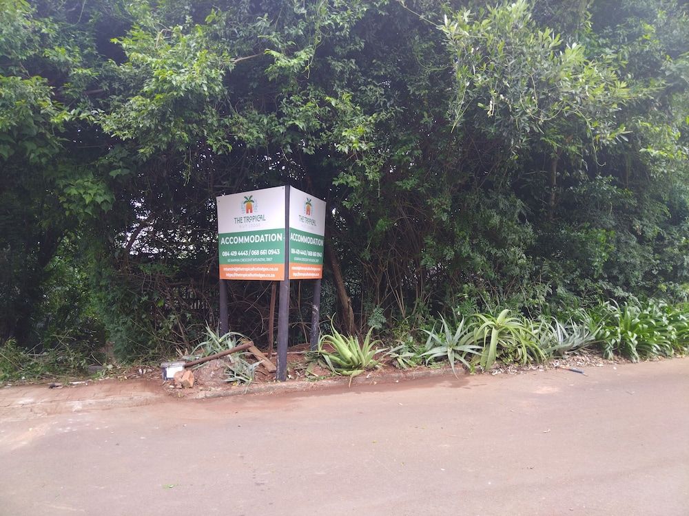 The Tropical Hut Lodges 2