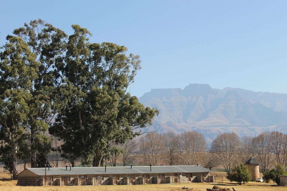 Ardmore Guest Farm 2