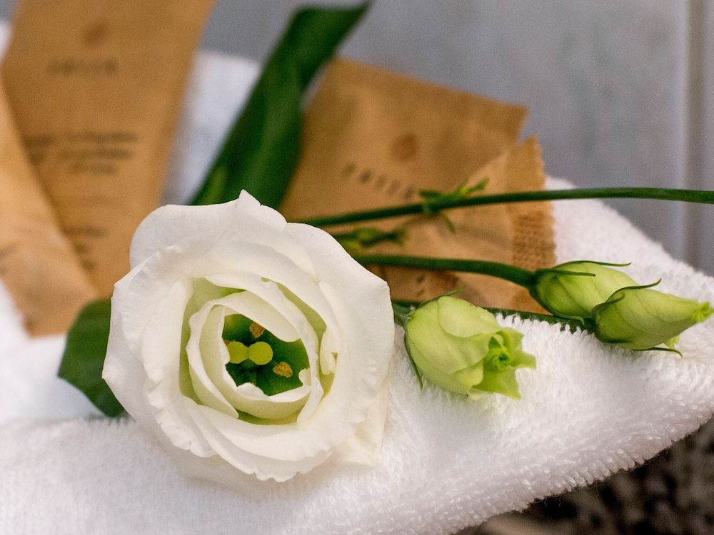 Hôtel du Cheval Blanc - City Center 2