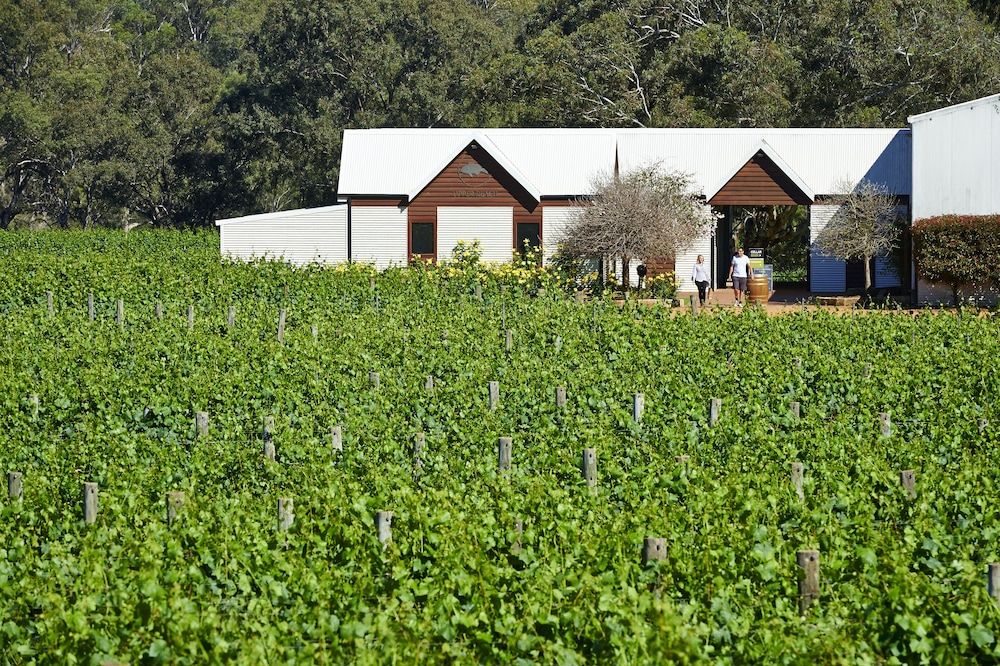 Vineyard Cottage at Upper Reach Winery -1 estrellas en Henley Brook