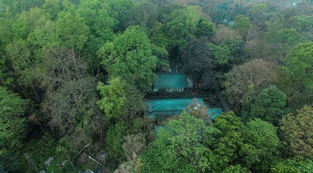 Wild Mahseer -1 estrellas en Tezpur