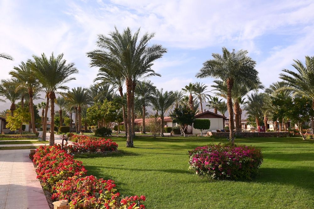 Fiord Club Resort & SPA 3