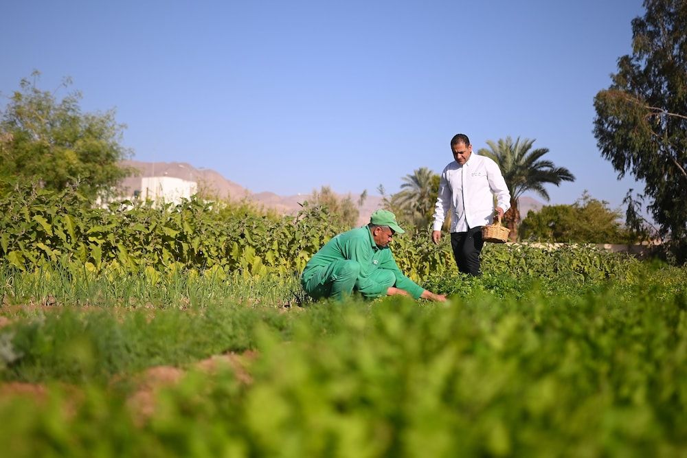 Fiord Club Resort & SPA 4 étoiles à Nuweiba