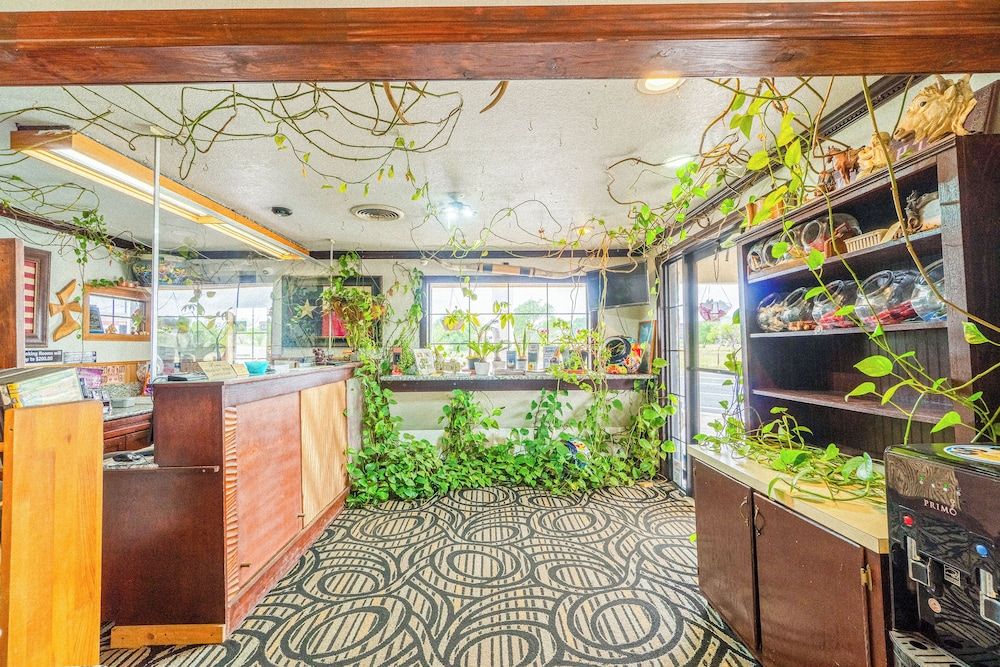 Purple Sage By OYO Snyder TX 2