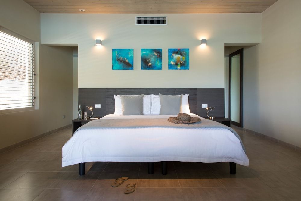 South Point Antigua 3