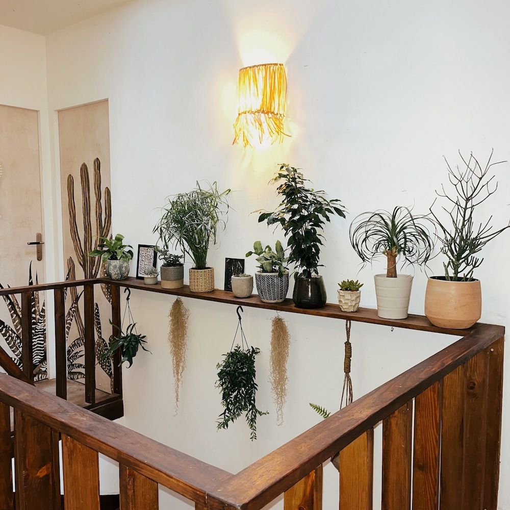 Guest House Folk Inn -1 estrelas em Vielle-Saint-Girons