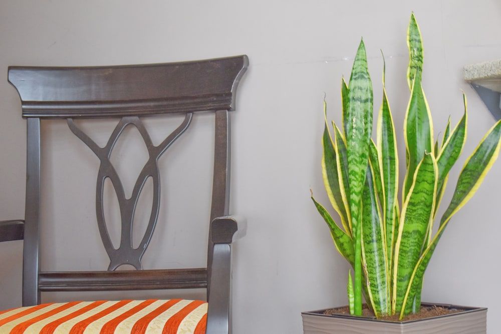 Hotel Hamburg Skopje 2