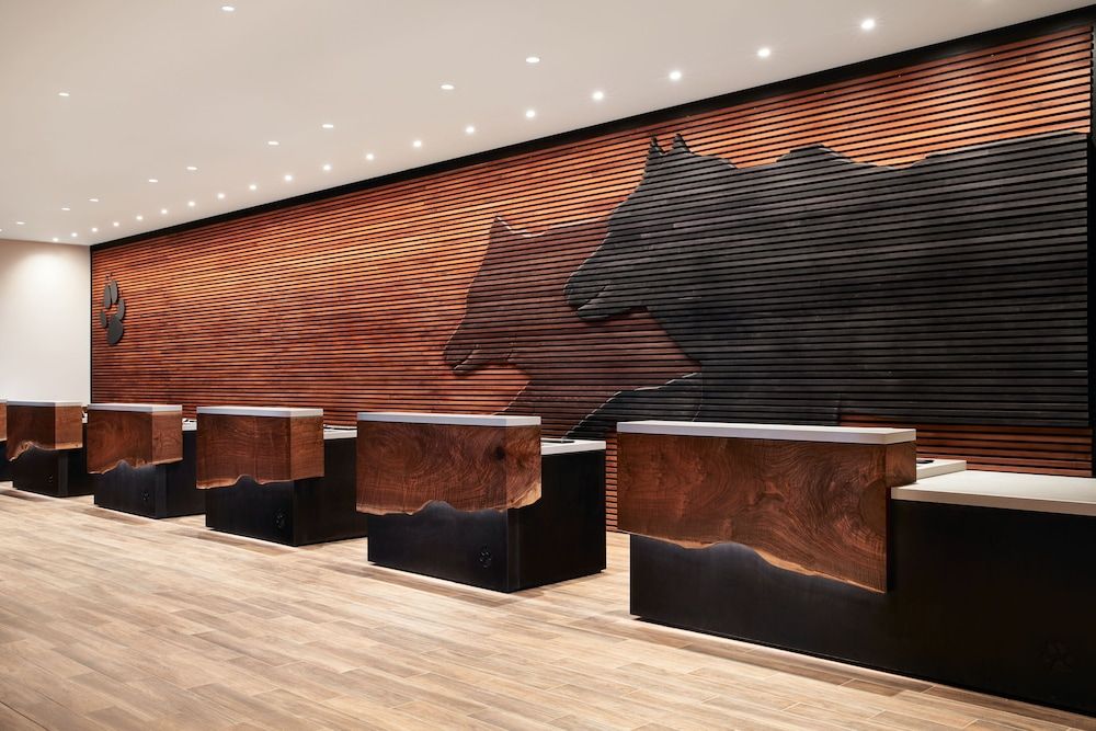 Great Wolf Lodge Manteca 2