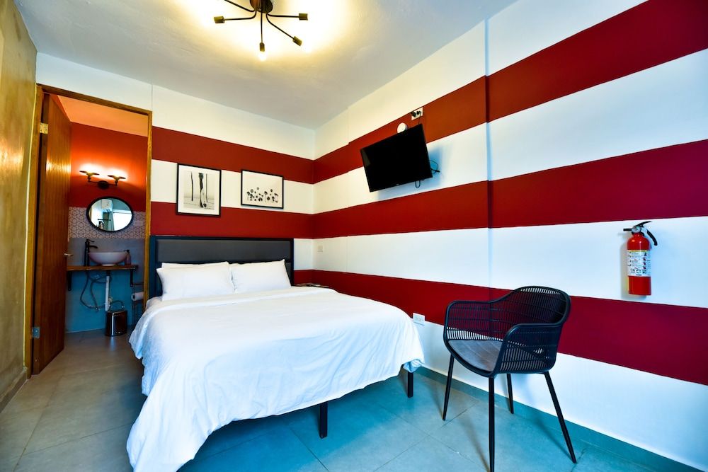 The Surfing Turtle 2