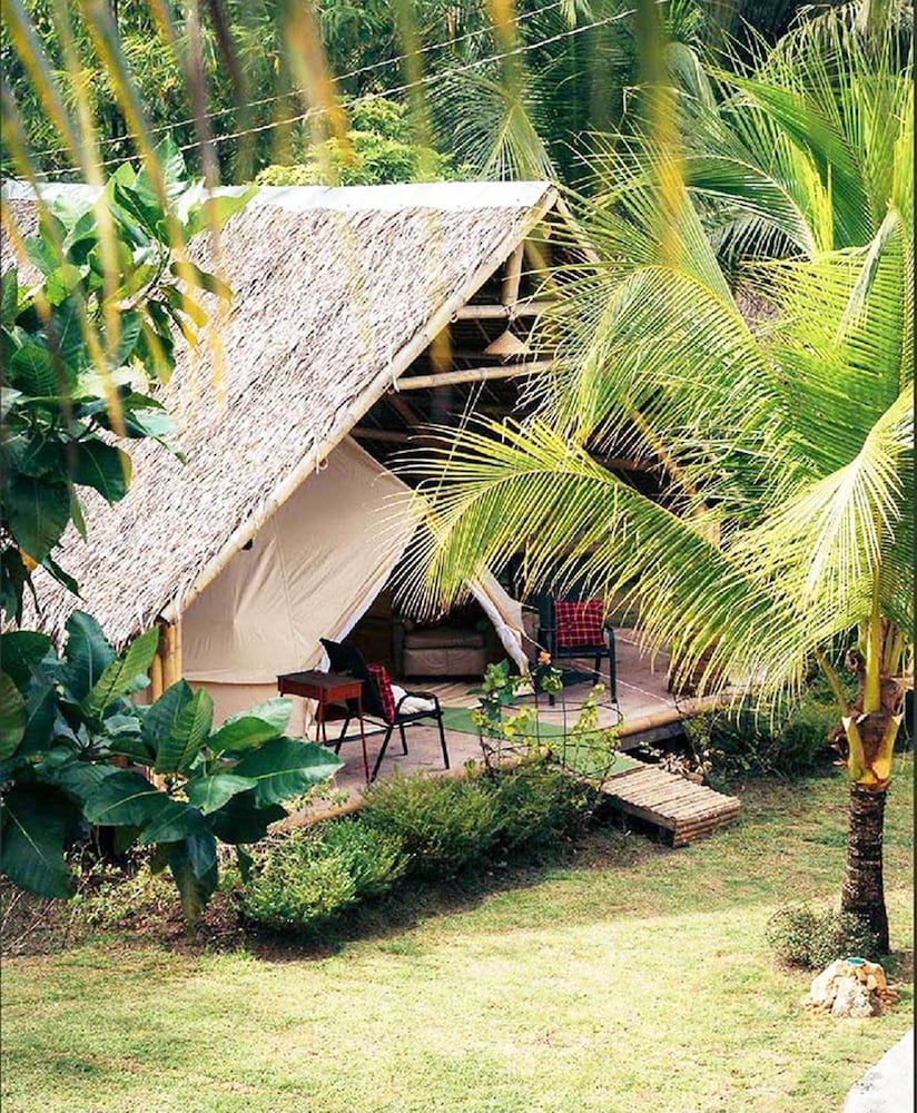 Eco-treehouse Glamping Services 3