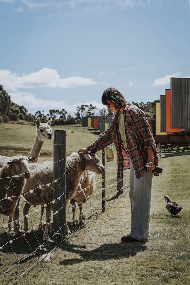 Iron Creek Bay Farm Stay 4 estrelas em Sorell
