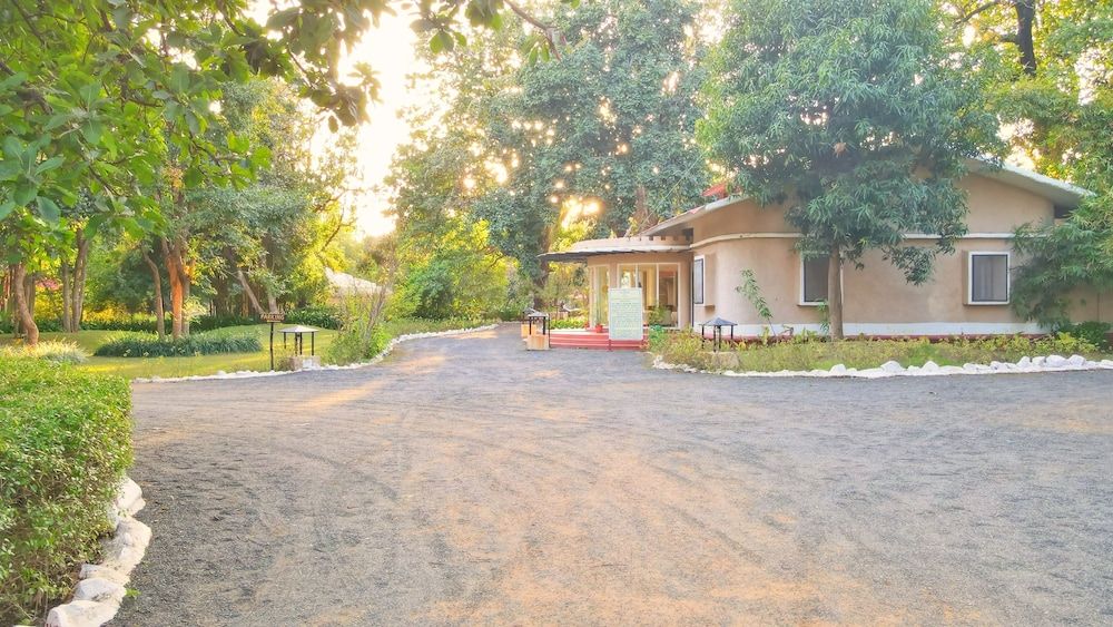 Bundela Bandhavgarh by Octave 2