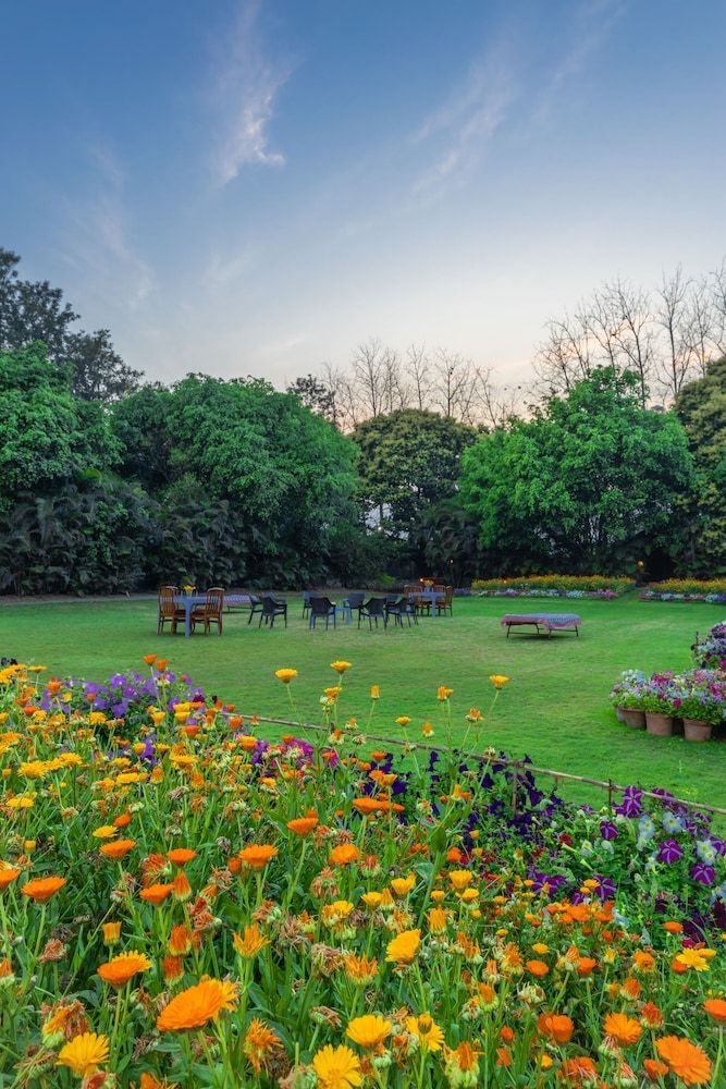 Citrus County, Hoshiarpur, Amã Stays & Trails -1 estrelas em Hoshiārpur