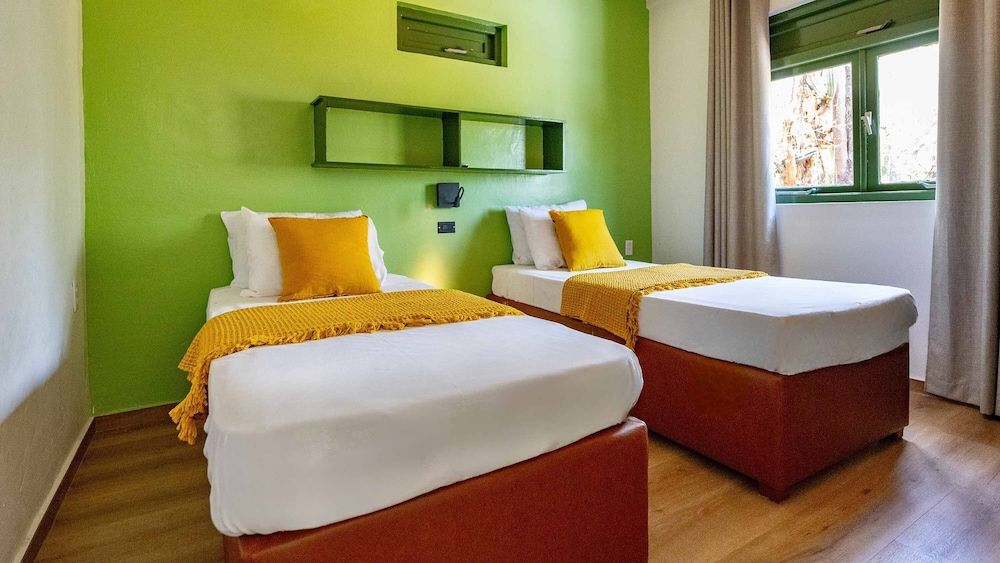 Dream Of The Green Flamingo 3