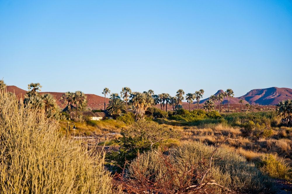 Palmwag Lodge -1 étoiles à Palm