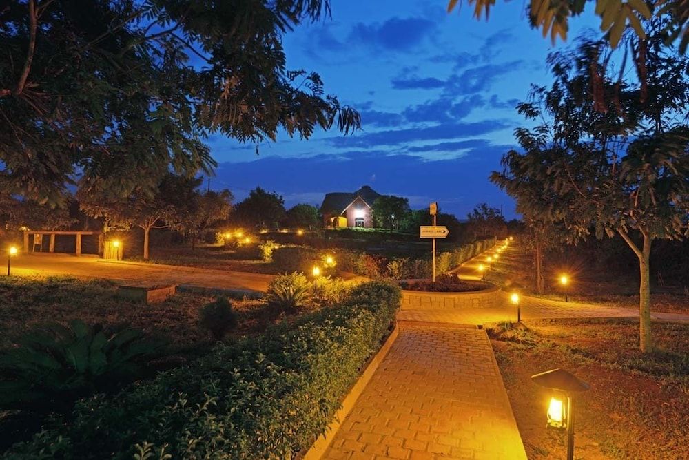 Buffalo Safari Lodge 2