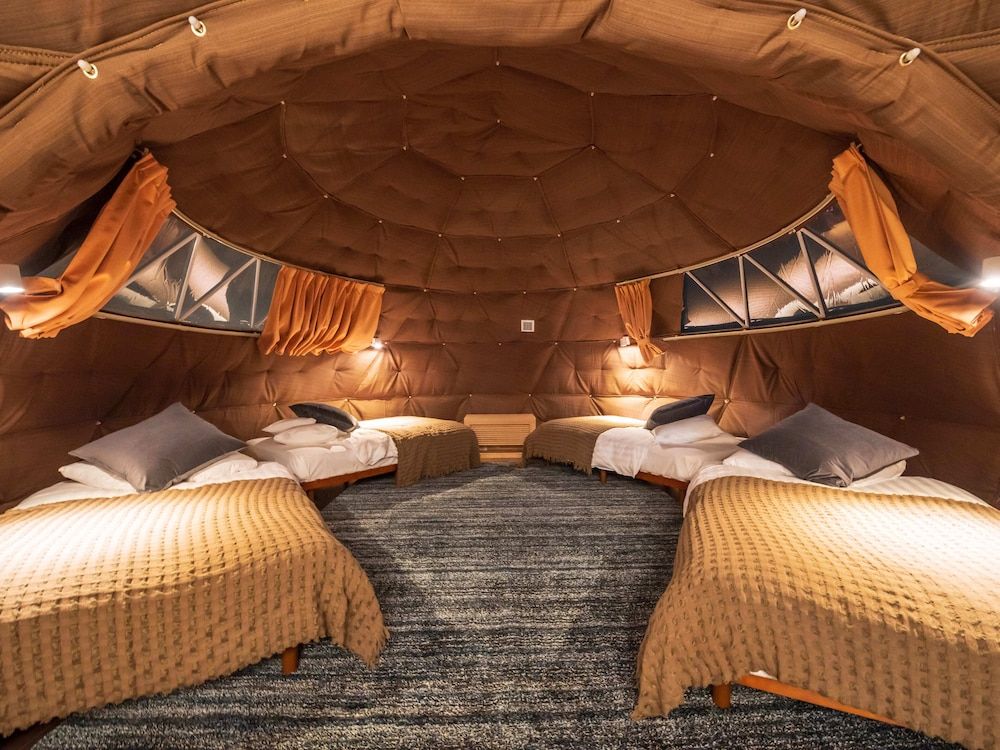 GLAMPROOK FUTTSU BRISTOL HILL 2