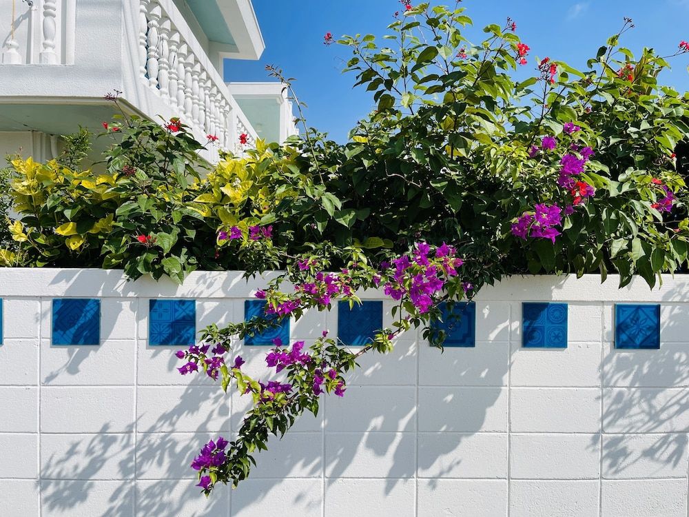 Azzurra -1 estrellas en Ueno