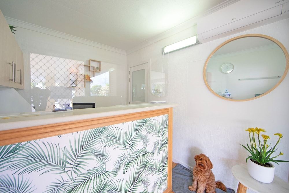 Pottsville Beach Motel 2