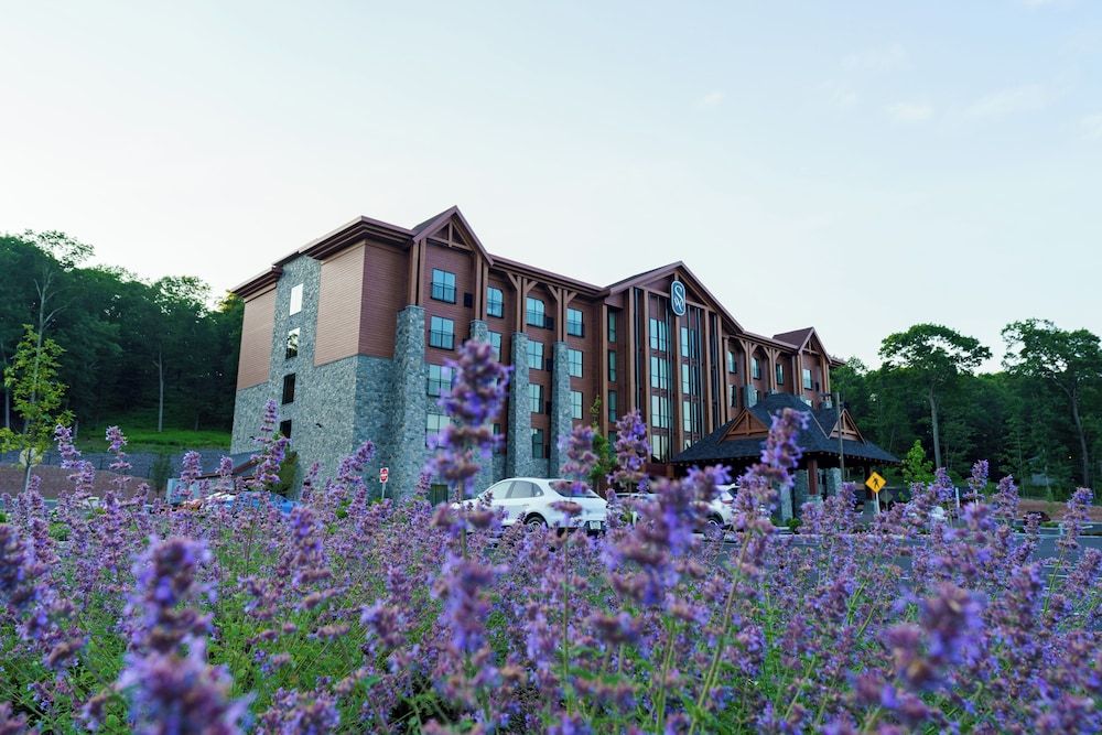 The Swiftwater 5 estrelas em Swiftwater