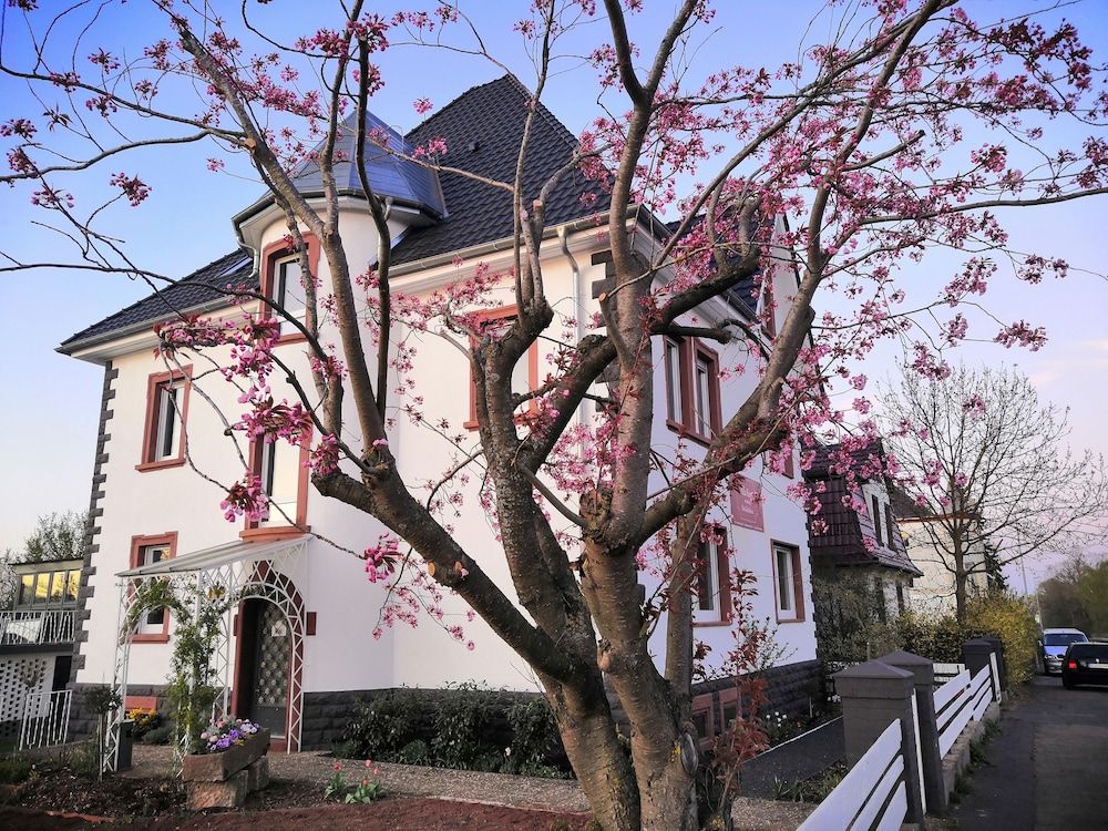 Villa Kopp-das GvÔøΩstehaus -1 estrelas em Höpfingen