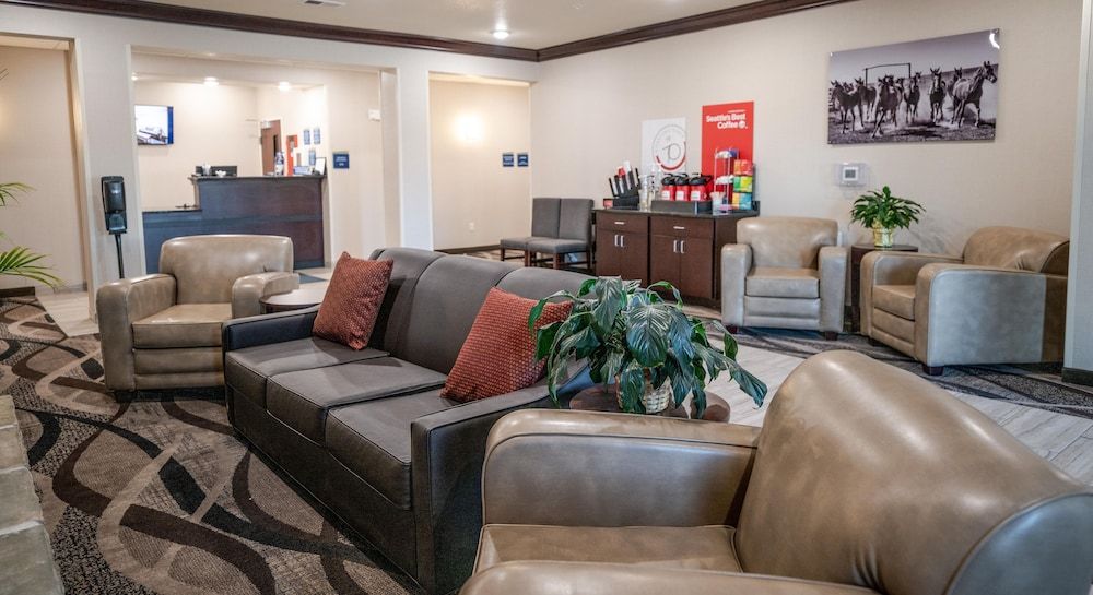 Cobblestone Hotel & Suites - Lamar 3