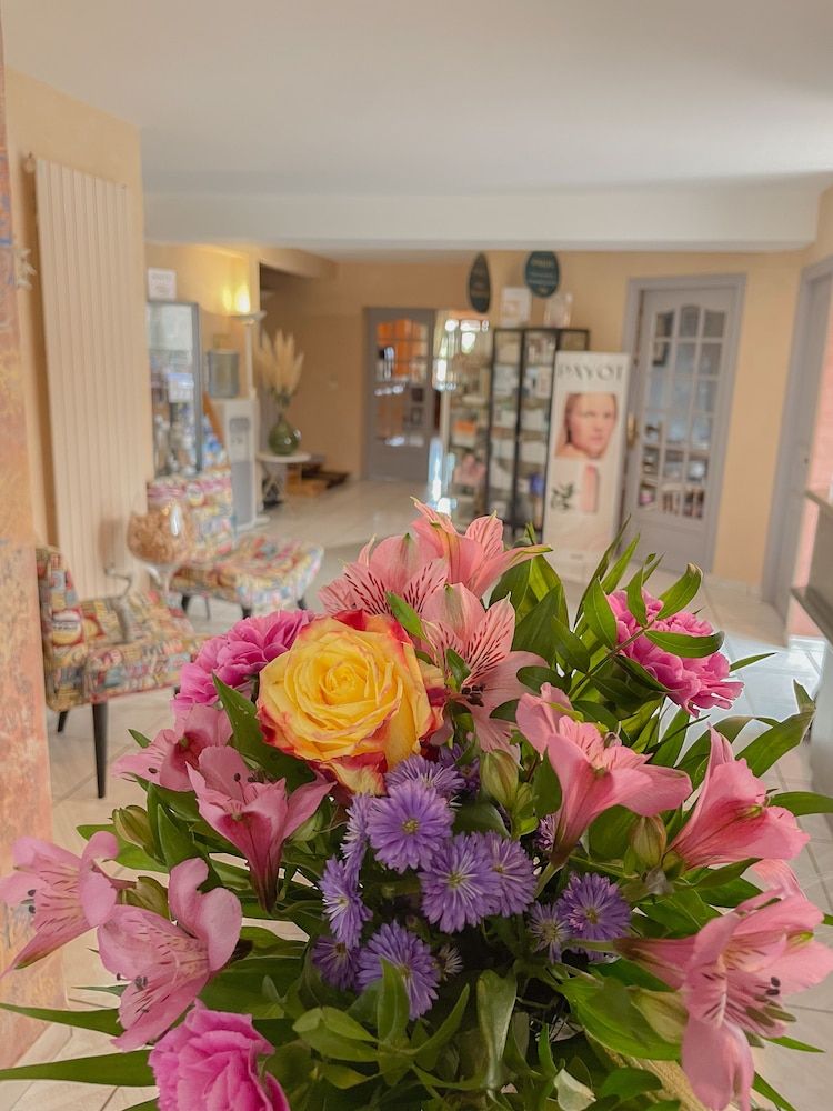 Hôtel le Baudiere 3