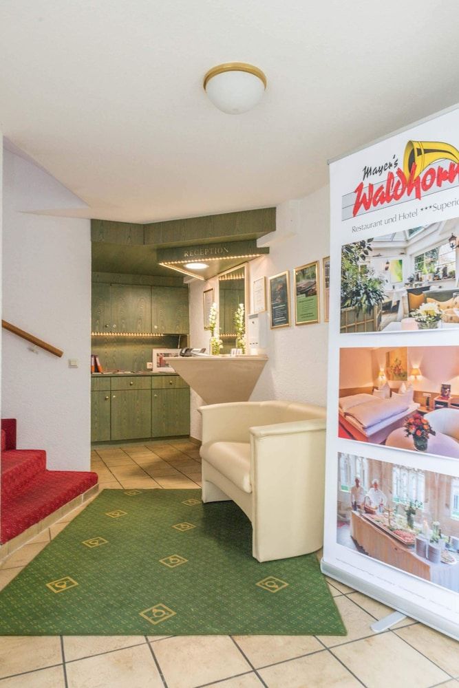 Mayers Waldhorn Zwischen Reutlingen Und Tv Bingen 3