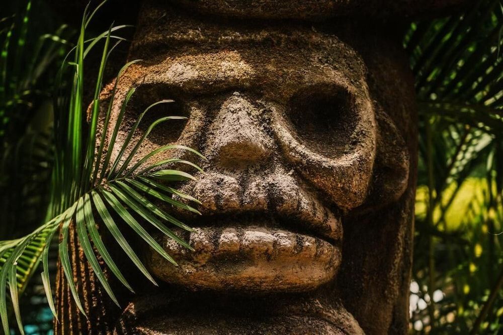 Kawabonga Hostel -1 étoiles à Palomino